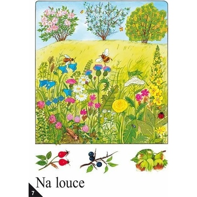 Alter Soubor nástěnných obrazů pro prvouku ve 2. ročníku