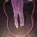 Buffalo Tom Jump Rope 1 CD