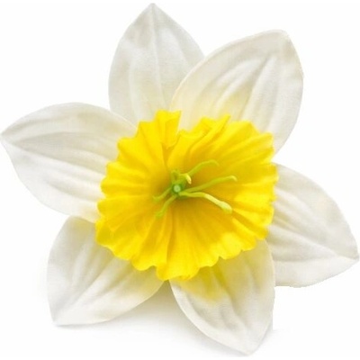 Narcis saténová hlavička bieložltá 10 cm