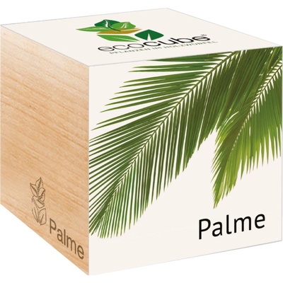 Feel Green ecocube "Exotics" palma