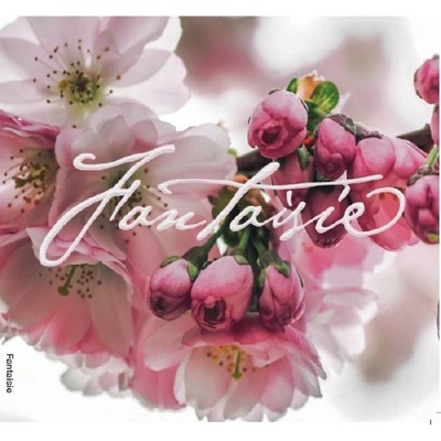 Vaculová Kristina: Fantaisie CD