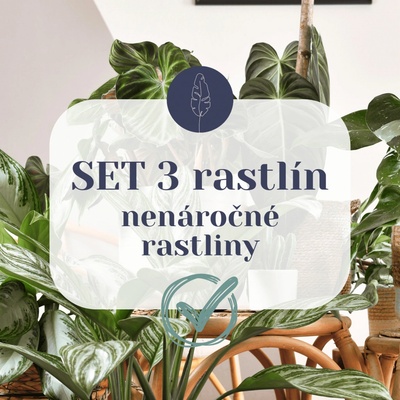 SET 3 nenáročných rastlín