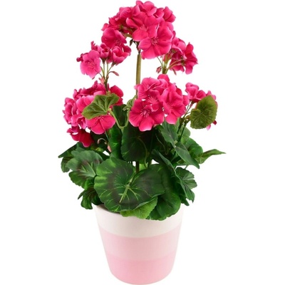 DOMMIO Muškát v keramickom kvetináči 40 × 25 cm ružový