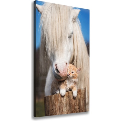 Vertikálny foto obraz na plátne Biely kôň s mačkou 50x100 cm