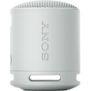SRS XB100