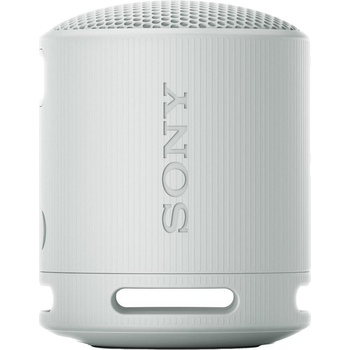 SRS XB100