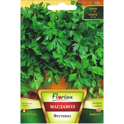 Флориан Магданоз - Фестивал