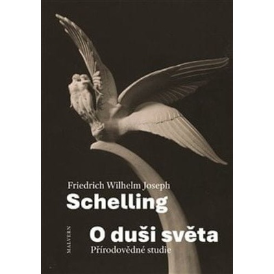 O duši světa - Friedrich Wilhelm J. Schelling