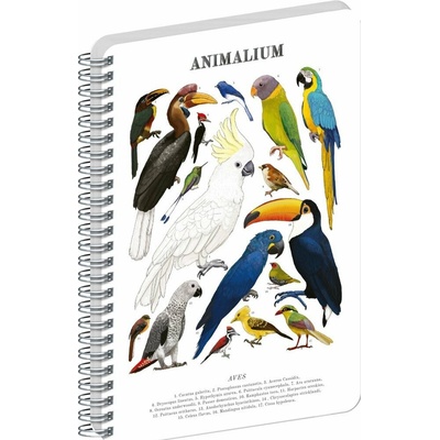 Spirálový blok Animalium - Ptáci, čistý, A4