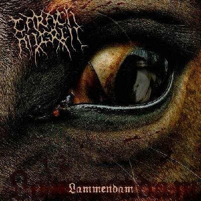 CARACH ANGREN NETH - LAMMENDAM-REEDICE
