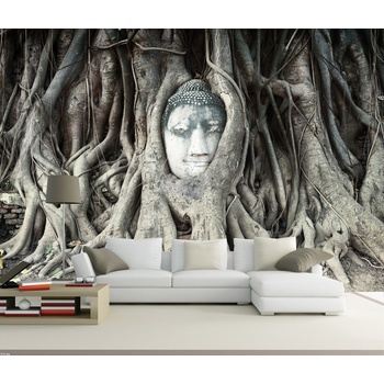 Coloriqa fototapeta Buddha ve stromě 2641 Materiál: Vliesová tapeta, Rozměr: 152,5 x 104 cm M