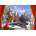 Bluebird Puzzle - Puzzle Davison: Christmas Mountain View - 1 000 piese