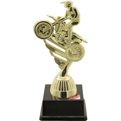 F1319 Soška motorismus zlatá
