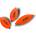 Blackcat micro u float orange 15 g