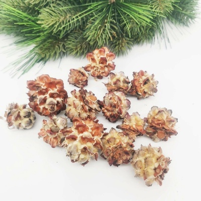 Pubescens loose cones 500g