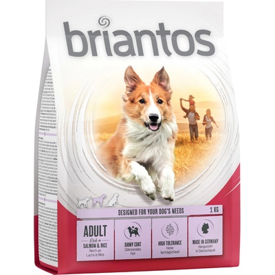 Briantos Adult losos s ryžou 4 x 1 kg