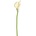 KS CALLA BIELA 35cm