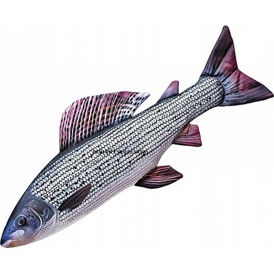 Gaby polštářek ryba Lipan podhorní 65 cm – Zboží Mobilmania