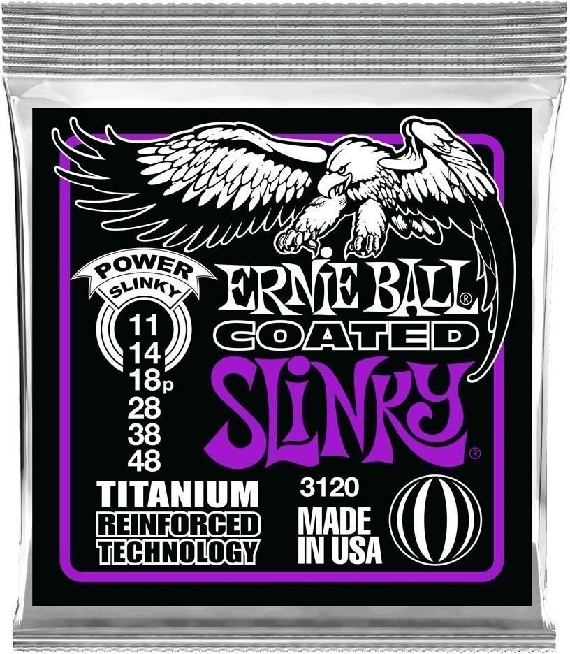 Ernie Ball 3120