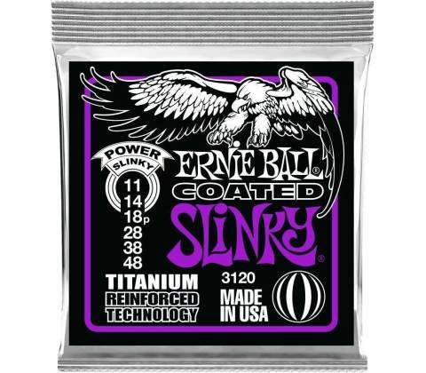 Ernie Ball 3120