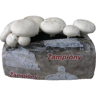 Žampiony substrát 15l cca. 9kg