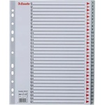 ESSELTE Регистър ESSELTE A/4 plastic extra wide 1-31 100127 (100127)