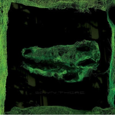 Avey Tare - Down There LP