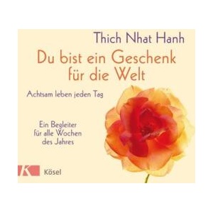 Du bist ein Geschenk für die Welt | Heike Mayer (ISBN: 9783466347551)
