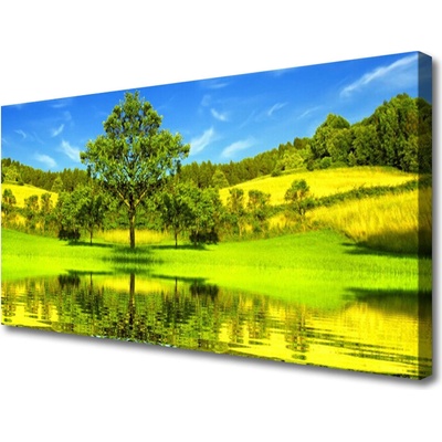 Obraz Canvas Lúka strom príroda 100x50 cm