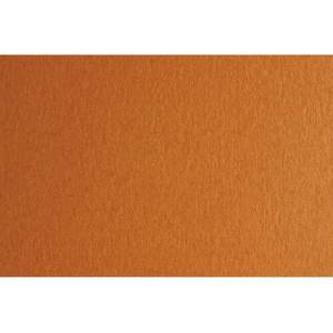 Fabriano Картон Colore, 50 x 70 cm, 140 g/m2, № 223, светлокафяв (43303223/2_AVANA)