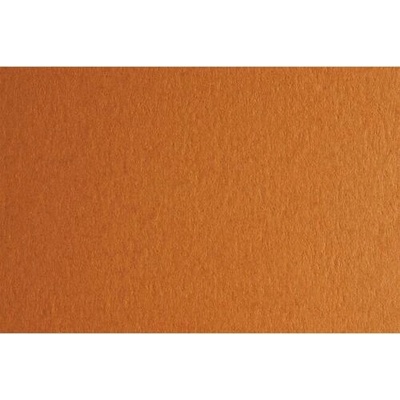 Fabriano Картон Colore, 50 x 70 cm, 140 g/m2, № 223, светлокафяв (43303223/2_AVANA)