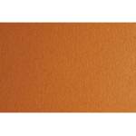 Fabriano Картон Colore, 50 x 70 cm, 140 g/m2, № 223, светлокафяв (43303223/2_AVANA)