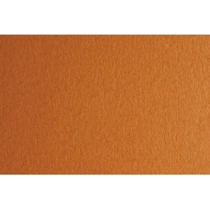 Fabriano Картон Colore, 50 x 70 cm, 140 g/m2, № 223, светлокафяв (43303223/2_AVANA)