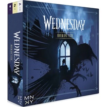 Wednesday Havraní Vize