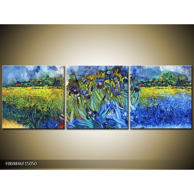 Obraz na plátně abstrakce styl Van Gogh
