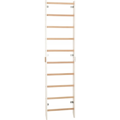 Rinagym Žebřiny na cvičení 230 cm x 58 cm – Zboží Mobilmania