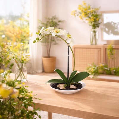 VK Umelá orchidea Phalaenopsis, krémovo-zelená