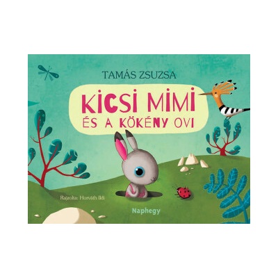 Kicsi Mimi és a Kökény ovi