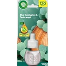 Air Wick Náplň Eucalyptus and Cedarwood pre elektrický osviežovač vzduchu 19 ml
