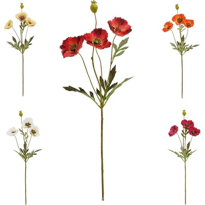 KS PAPAVER MIX/5F 68CM