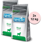 Vet Life Renal 2x12 kg