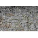 DIMEX ART Флизелинов фототапет бетонна мистрия 375 x 250 см