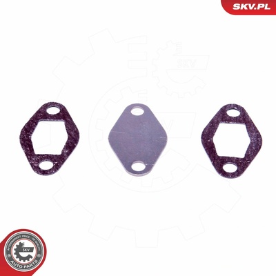 Súprava na opravu, ventil AGR ESEN SKV 14SKV548 14SKV548