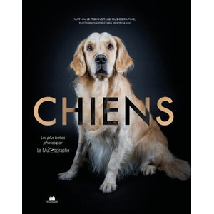 Chiens | Tiennot (2025)