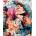 Norimpex - Puzzle Diamant painting: Color portrait 30x40cm - 1 - 39 piese