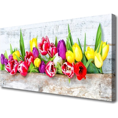 Obraz Canvas Tulipány kvety príroda 100x50 cm