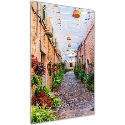 Vertikálny foto obraz sklenený Mallorka Španielsko 50x100 cm