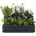 Blumfeldt High Grow 2 405 GDMB4-BLM-RGB-HG-2TA/GDMB4-BLM-RGB-HG-2TS
