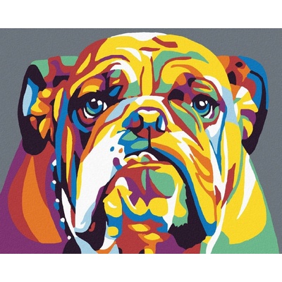 zuty Malování podle čísel Buldog II 50 x 40 cm vypnuté plátno na rám 8596530028253