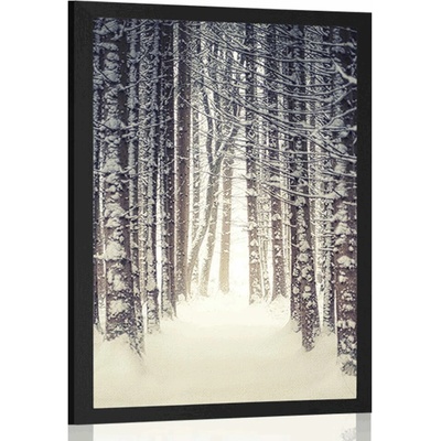 Plakát les zahalený sněhem - 40x60 no frame